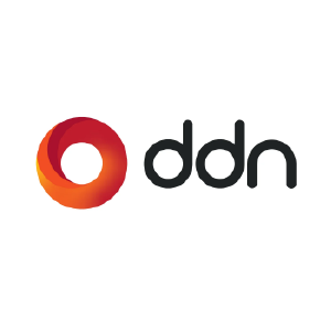 DDN logo