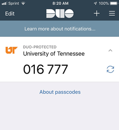 Image of Duo Mobile Passcode screen