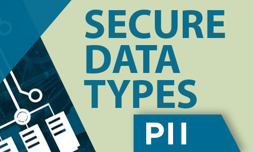 Secure Data Types--PII