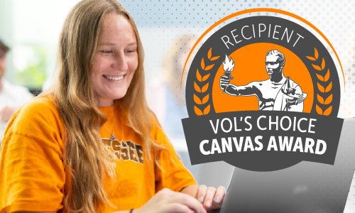 girl working on laptop with the Vol's Canvas Choice Award