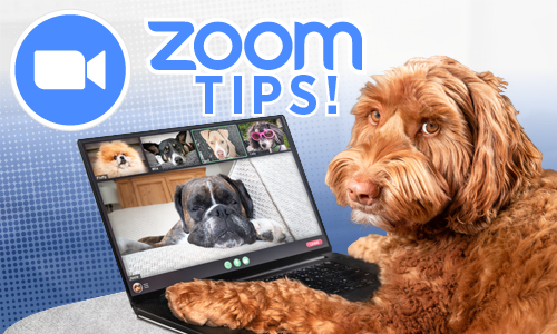 Zoom Tips