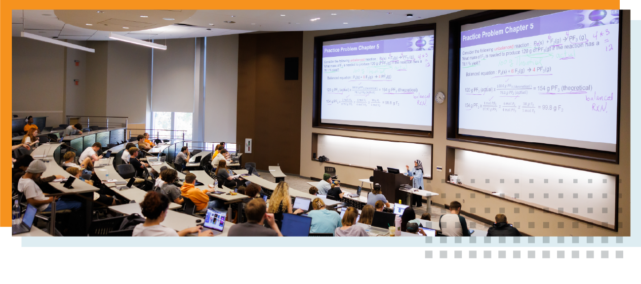 OIT Annual Report 2024 Student and Faculty Support