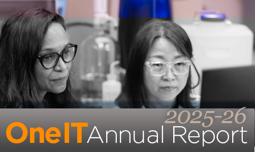 One IT Annual Report 2025-26.