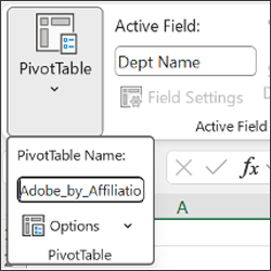 Screen shot of PivotTable menu, with PivotTable Name text entry field