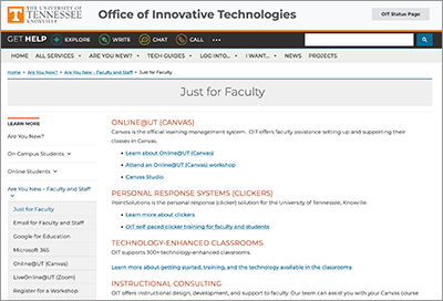 Just for Faculty, screen shot of the Are You New Faculty resource overview page. 
