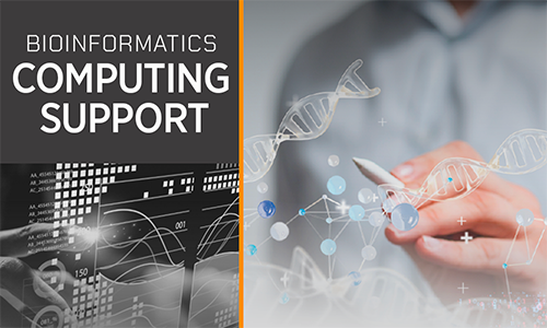 Biioinformatics Commputing Support.