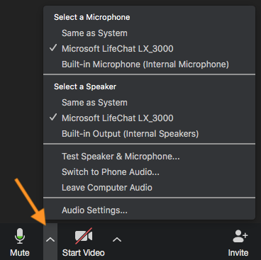 image of Zoom audio check